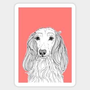 Long Haired Dachshund Portrait Sticker